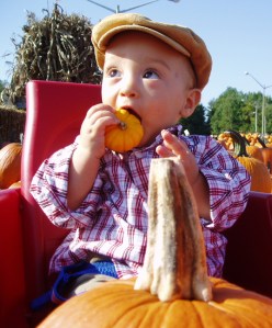 101505eatgord1 101505eatgord1